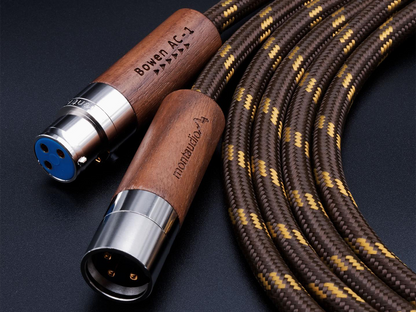 BOWEN AC-1 XLR (3)