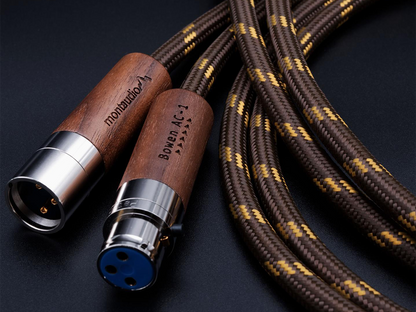 BOWEN AC-1 XLR (2)