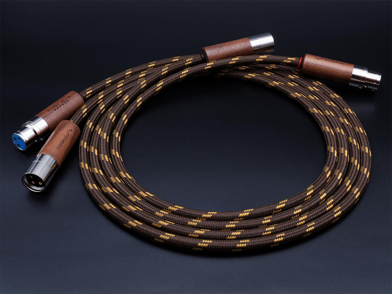 BOWEN AC-1 XLR (1)